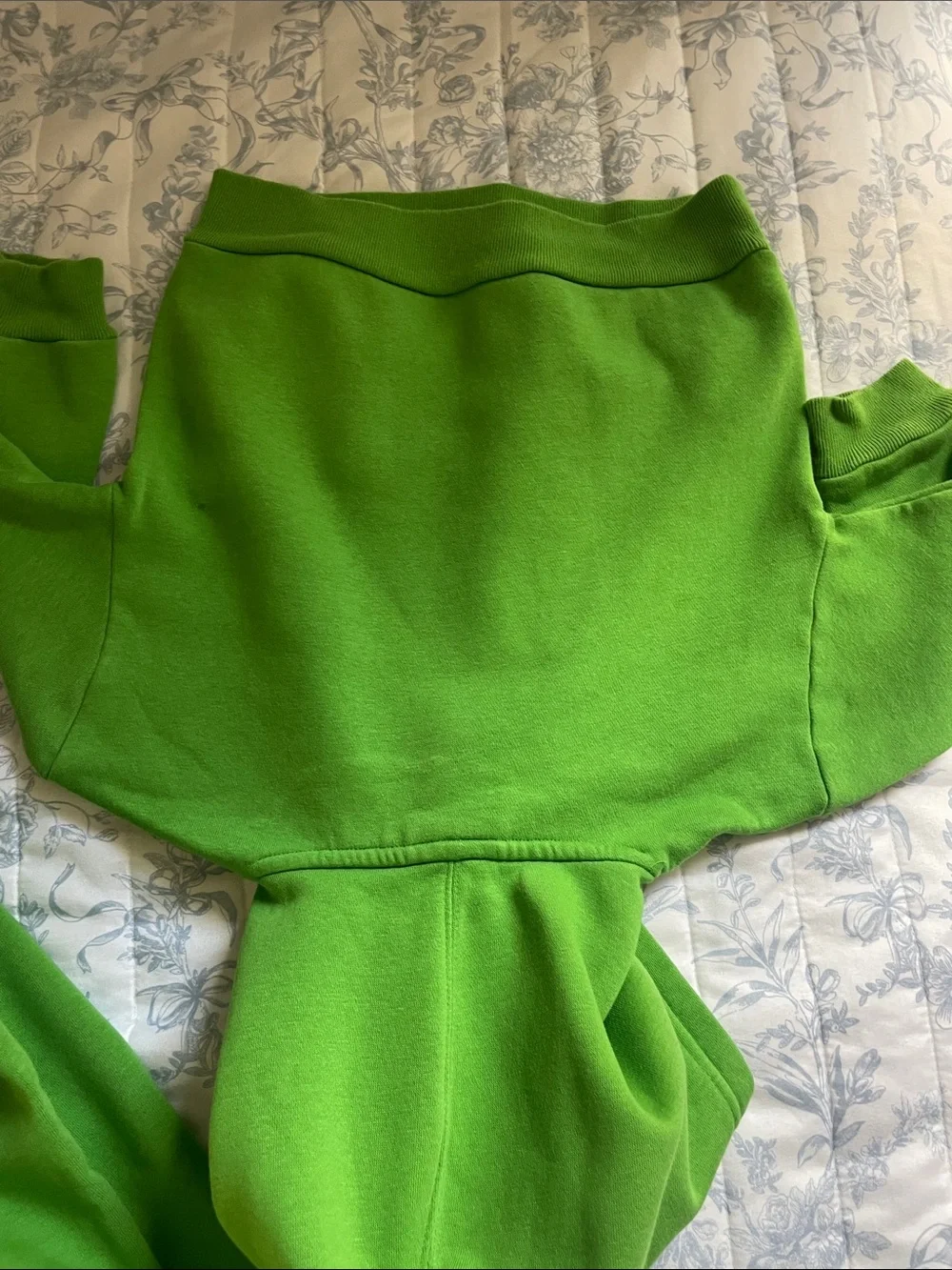 GAP Bright Green Sesame Street Hoodie and Sweatpants Set 2-3T